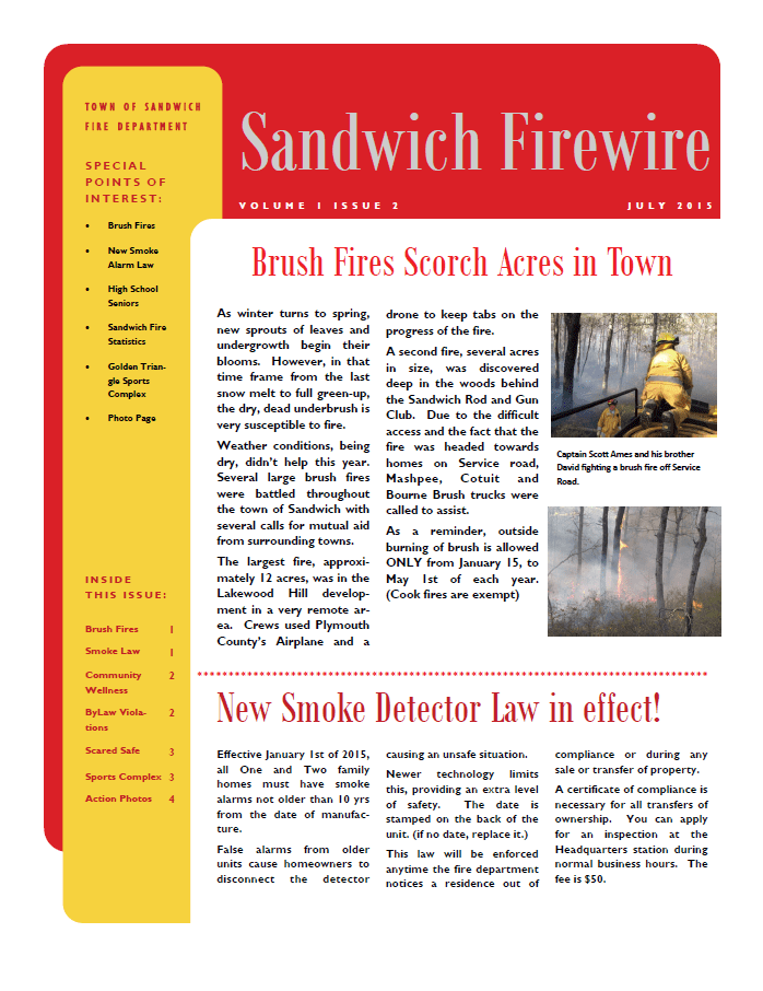 Sandwich Firewire Vol. 1 Issue 2