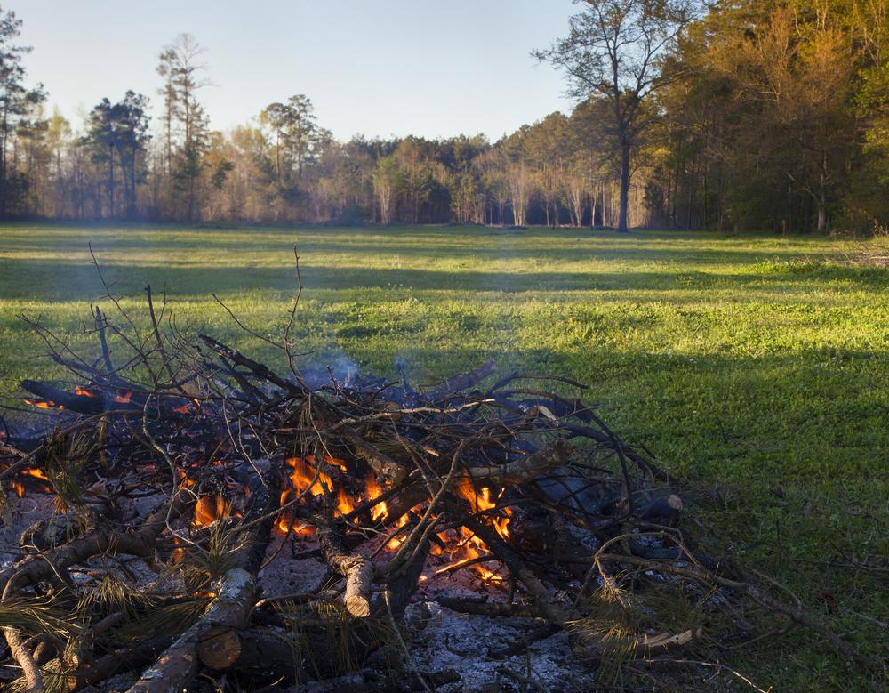 brushpile_in_field
